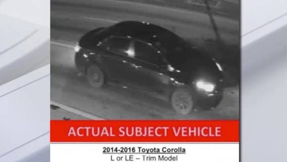 Florida mother of 2 killed during dispute over parking spot, deputies searching for driver