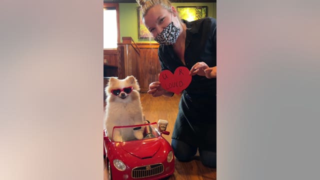 Florida therapy dog helps spread message of love for Valentine's Day
