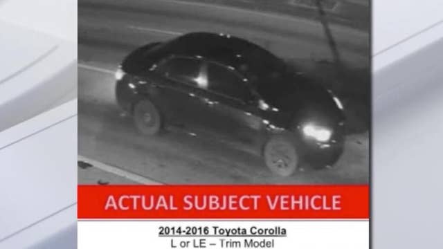 Florida mother of 2 killed during dispute over parking spot, deputies searching for driver