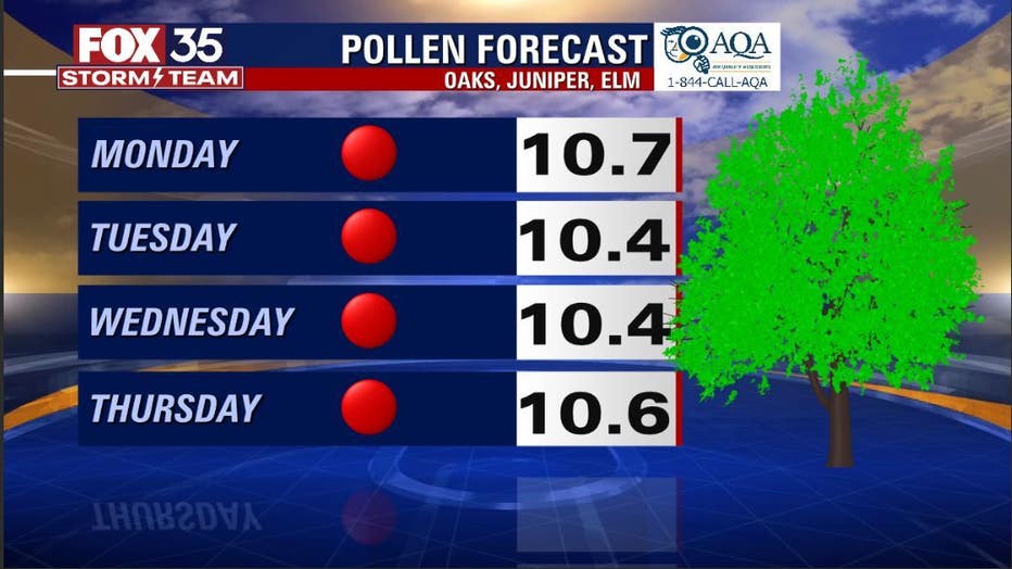 pollen-3.jpg