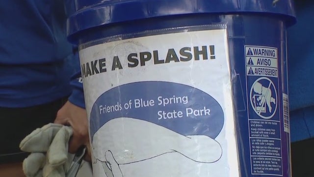 Tama manatee death: Volunteers clean up Blue Springs park after manatee's 'preventable' death