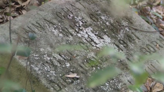Former Mt. Dora councilman accused of disturbing historic cemetery