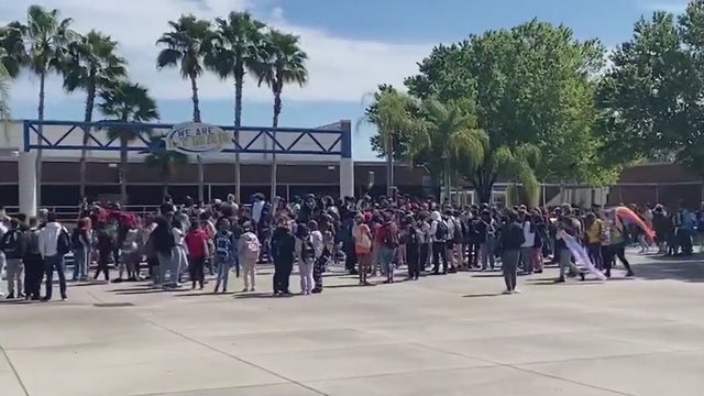 Florida students stage walkouts in protest of 'Don't Say Gay' bill