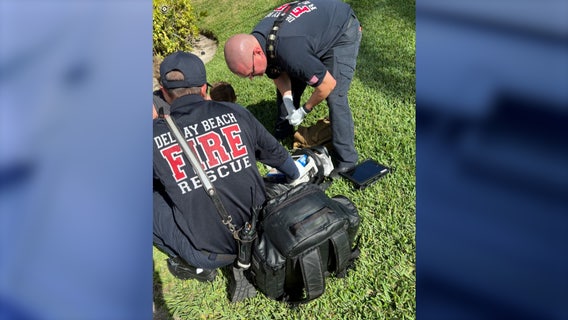 Highland Beach shark bite: Boy treated for apparent shark bite on his foot, officials say