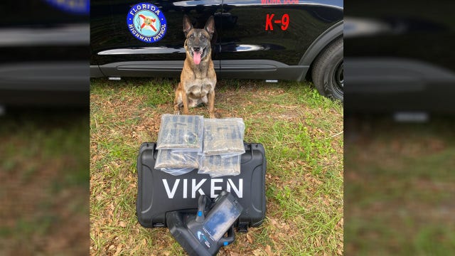 Florida K-9 helps make $700,000 drug bust