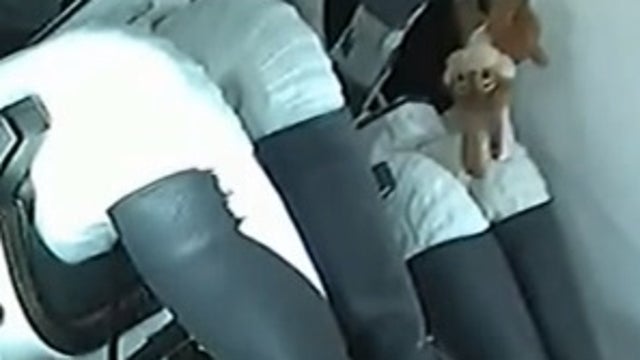 Meet Caramel the dog, the floating toy that was spotted aboard Axiom Space's Ax-1 flight
