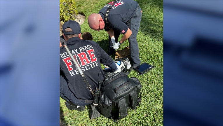 WOFL Highland Beach Shark Bite - Delray Beach photo