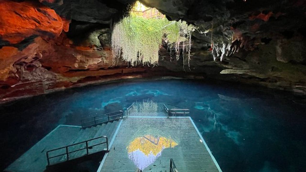 Affordable Summer Staycations: Things to do at Devil's Den Spring in Florida - Vimarsana News