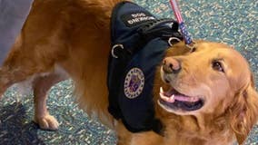 Central Florida therapy dogs head to Texas to support grieving families