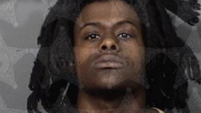 20 chained up dogs rescued from home during drug bust in Melbourne, police say