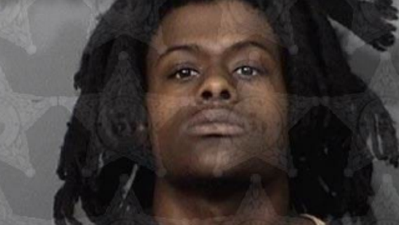 20 chained up dogs rescued from home during drug bust in Melbourne, police say