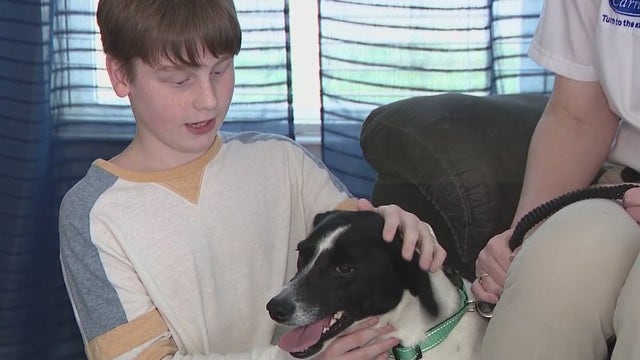 Florida boy bitten by raccoon while defending dog, family says