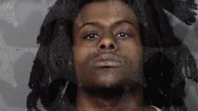 20 chained up dogs rescued from home during drug bust in Melbourne, police say