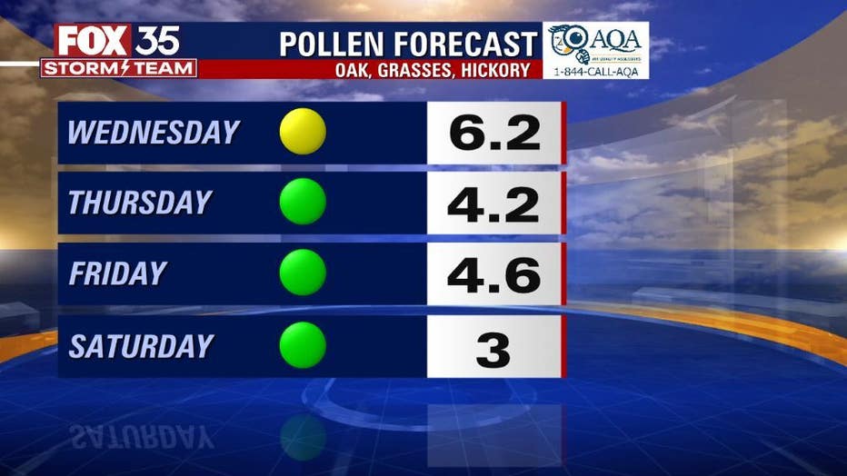 7c29d7fe-POLLEN.jpg