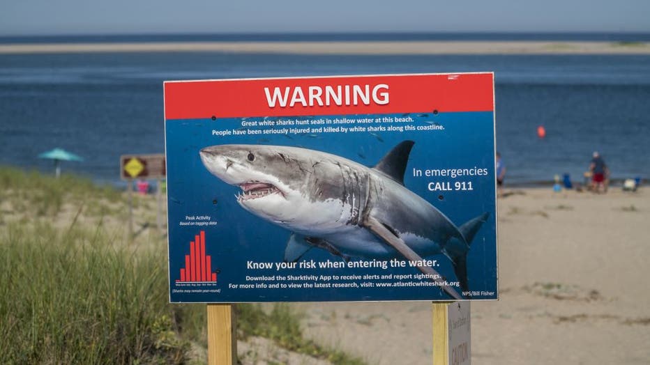 Beachgoers swim near a sign warning of risk in the waters where one of the world's highest concentrations of great white sharks is found.