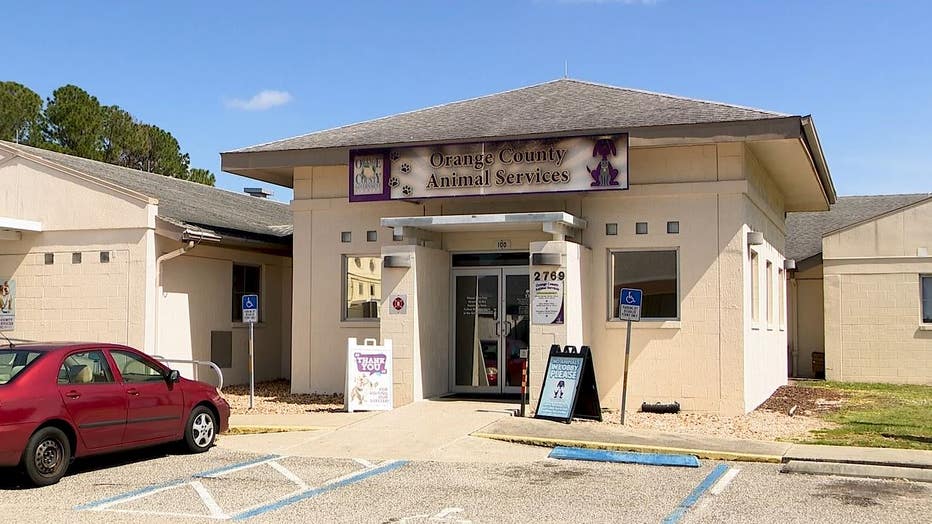 WOFL-Orange-County-Animal-Services.jpg
