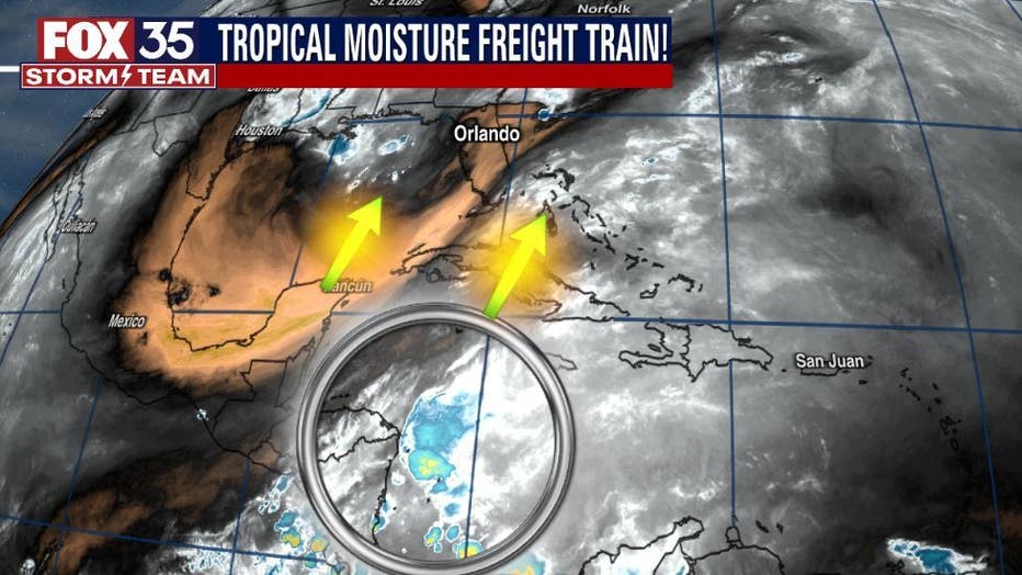 tropical-tap.jpg