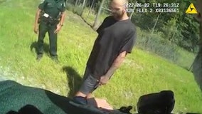 Volusia County Sheriff Mike Chitwood pulls over accused reckless driver