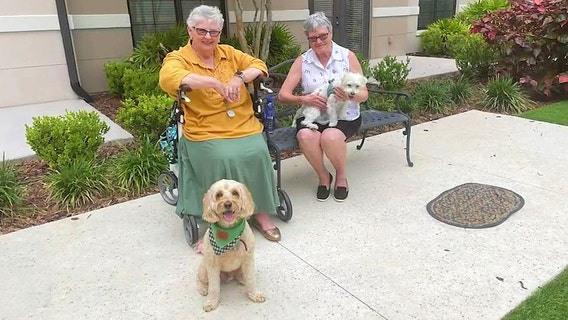 Dog comes to owner's aid after she falls, just like an episode out of 'Lassie'