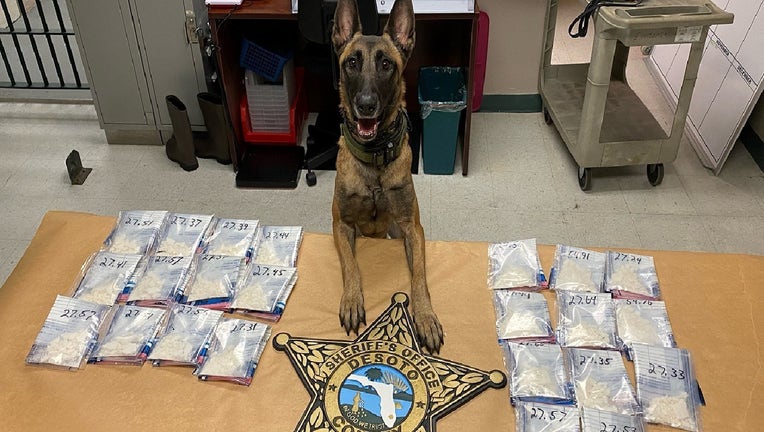 imageedit_2_4117951272