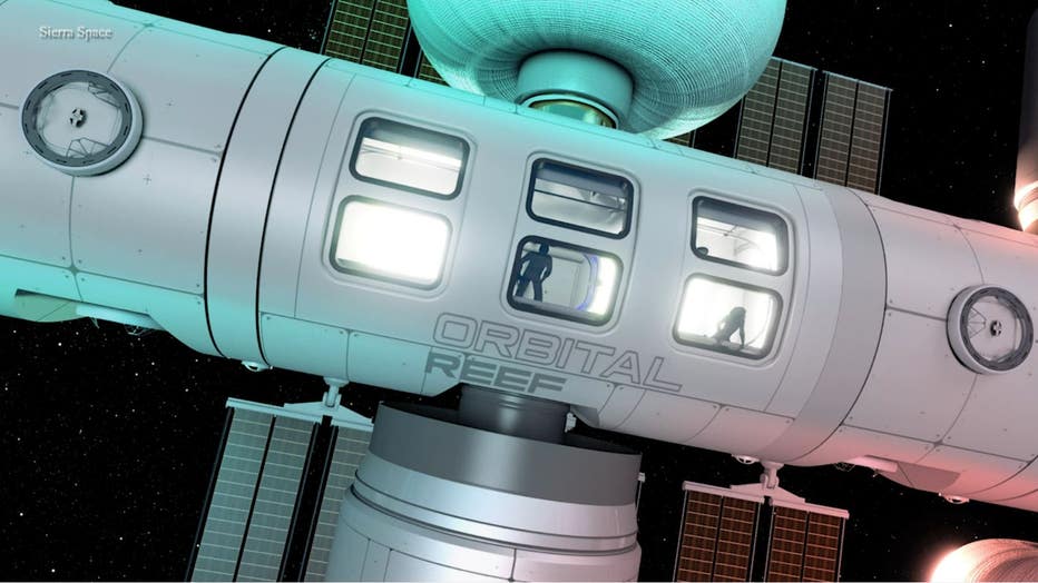Siera-Space-Orbital-Reef2.jpg