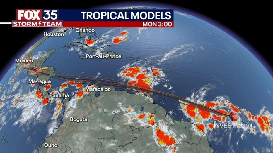 TROPICAL-MODELS-2AM.jpg