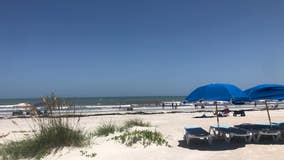 Shark bites teenager at Cape Canaveral in Florida