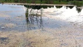 Child, woman die after crash into Daytona Beach retention pond that injured 3 others