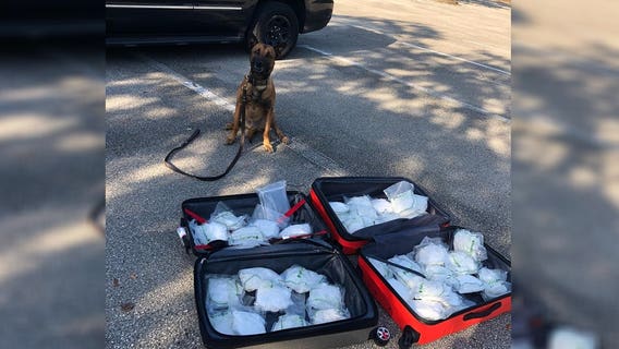 Florida K-9 sniffs out $1.5 million worth of meth