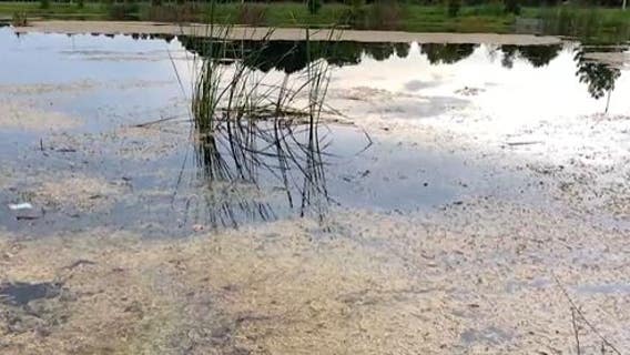 Child, woman die after crash into Daytona Beach retention pond that injured 3 others