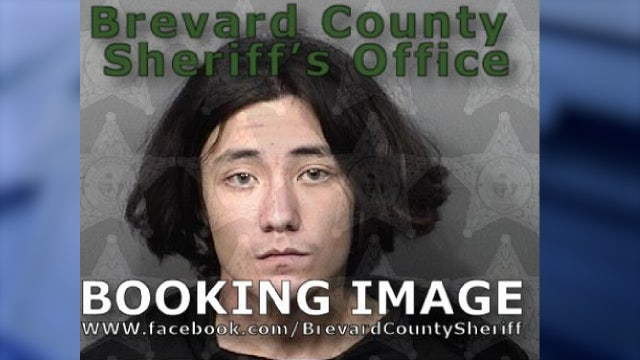 Florida man arrested for shooting alligator with pellet gun, deputies say