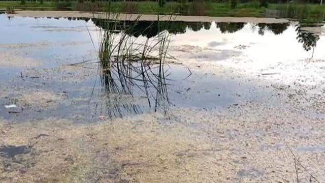 Child, woman die after crash into Daytona Beach retention pond that injured 3 others