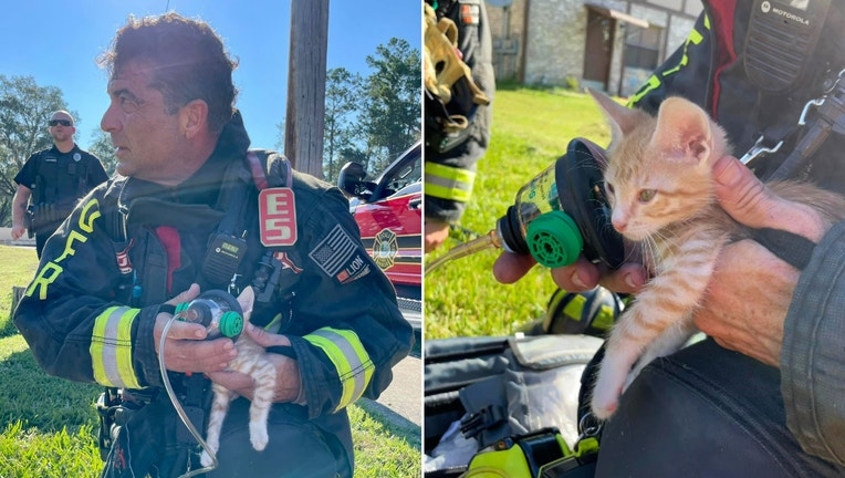 Ocala fire animal rescue