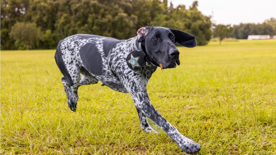 WOFL-Albi-Marion-school-k9.jpg
