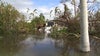 Hurricane Ian insured losses could total $40 billion, adding pressure to Florida's property insurance market