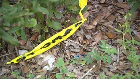 3 people, including child and teen, hurt after shooting in Cocoa, deputies say