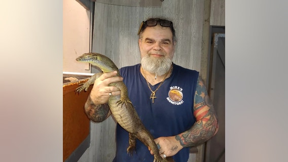 'It looks like Godzilla': Gigantic reptile crawls on window of Florida home