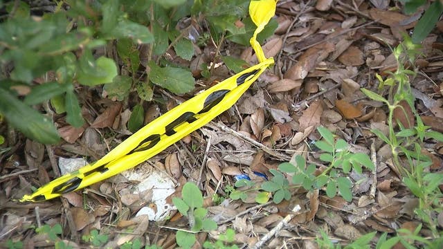 3 people, including child and teen, hurt after shooting in Cocoa, deputies say