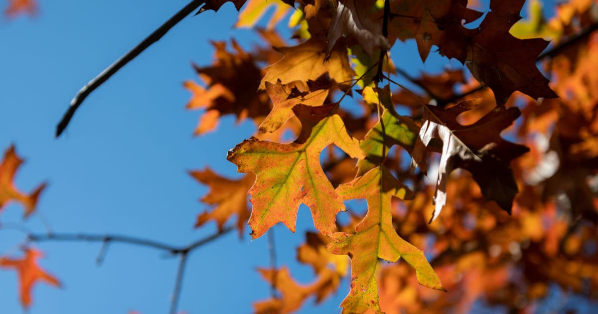 Warm days, cooler nights in the 50s and 60s this weekend in Central ...