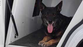 Florida K-9 receives final radio sign-off as he retires after 8 years of service