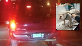 Florida man who dragged dog behind truck arrested, deputies say