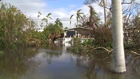 Hurricane Ian: Residents in these Florida counties can apply for Transitional Shelter Assistance