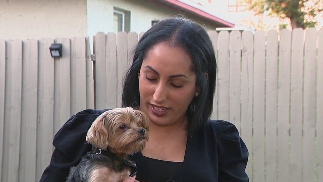 Apple AirTag credited for reuniting lost dog with its owner