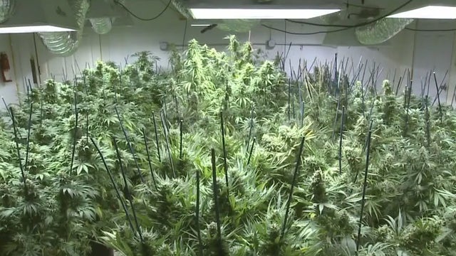 Appeals court backs ruling in pot case challenging 3rd-party online sites