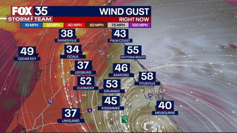 GUSTS-NOW.jpg