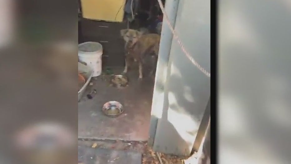 WOFL Altamonte Springs abandoned home1