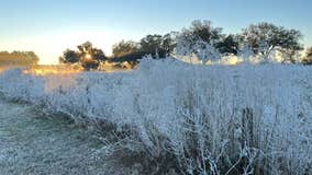 Freezing cold 'feels like' temperatures in the teens for parts of Central Florida on Christmas Eve