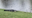 VIDEO: Florida gator spotted 'guarding' ball on golf course