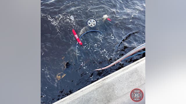 Car goes over Fort Myers bridge, driver badly hurt, Florida police say