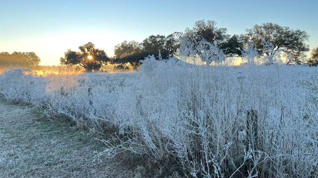 Freezing cold 'feels like' temperatures in the teens for parts of Central Florida on Christmas Eve